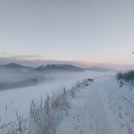 Irene *